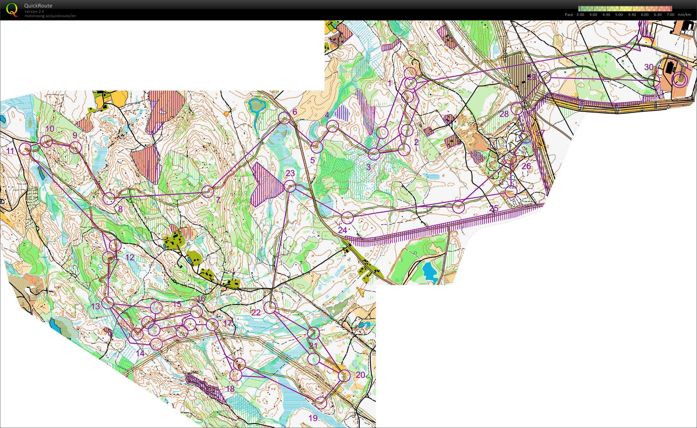 Jämsä-Jukola 2. osuus (15/06/2013)