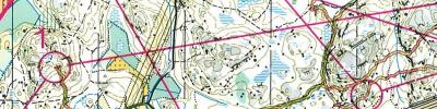 Jukola/Finnspring-treeni