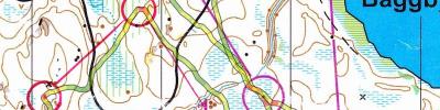 Galoppskogen
